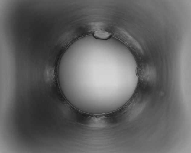 X0000101950560200807251137