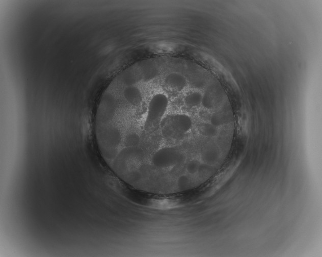 X0000101950561200807251137