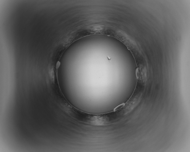 X0000101950562200807251137