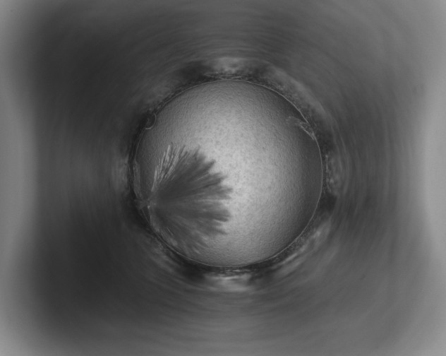 X0000101950563200807251137