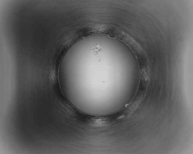 X0000101950564200807251137