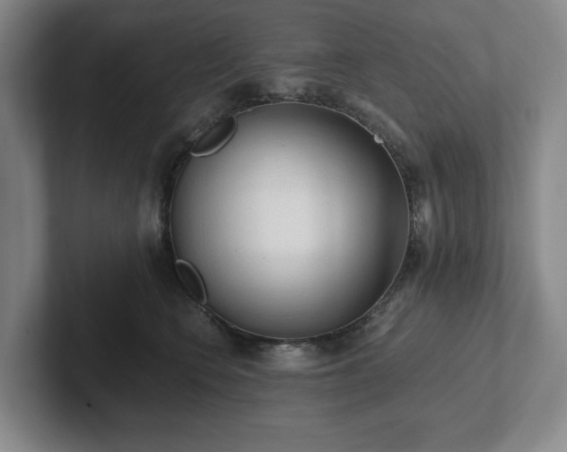 X0000101950566200807251137