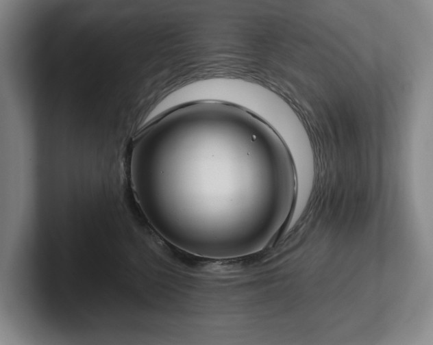 X0000101950568200807251137