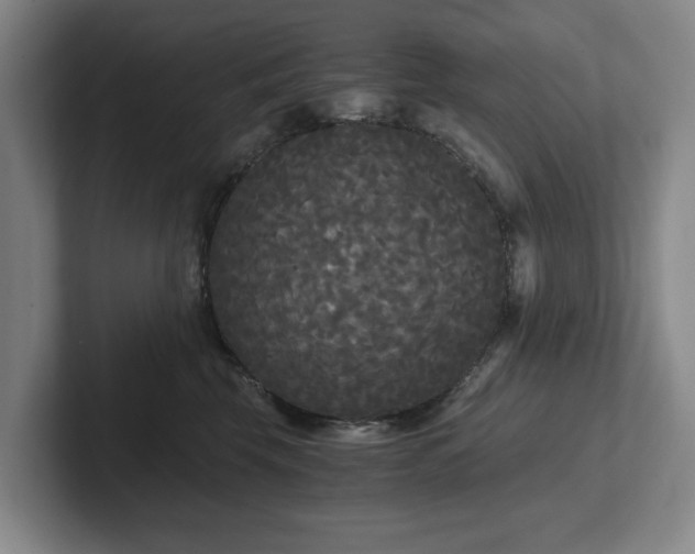 X0000101950569200807251137