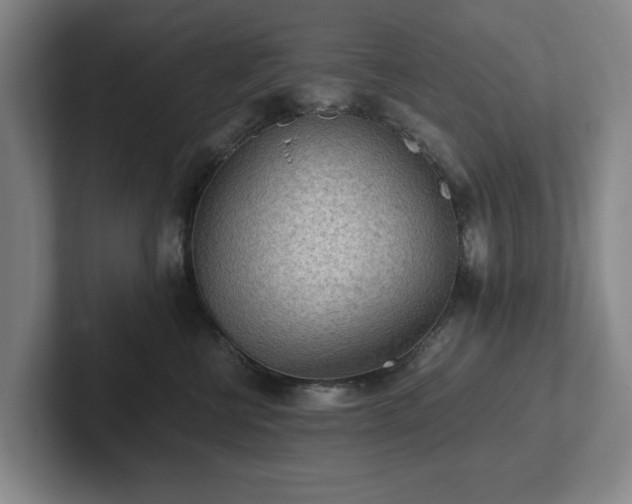 X0000101950570200807251137