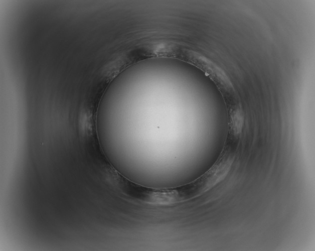 X0000101950571200807251137