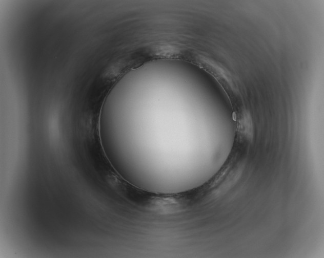 X0000101950572200807251137