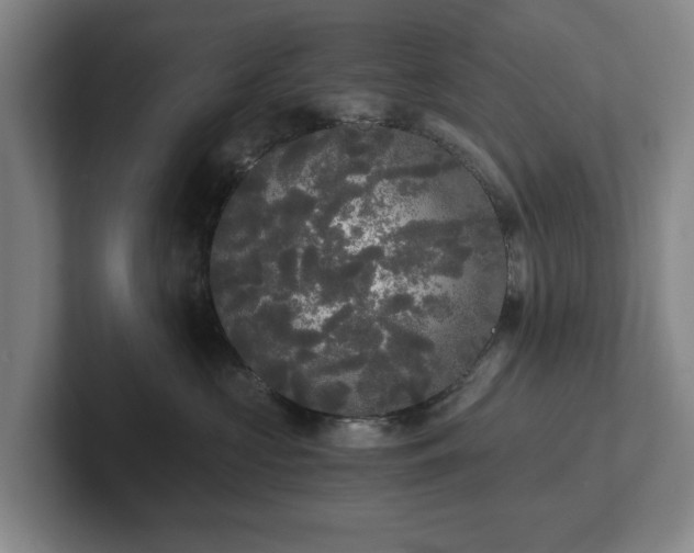 X0000101950573200807251137