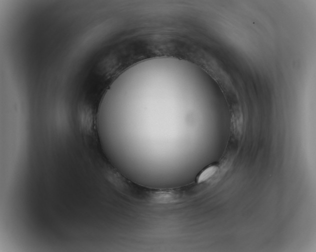 X0000101950574200807251137