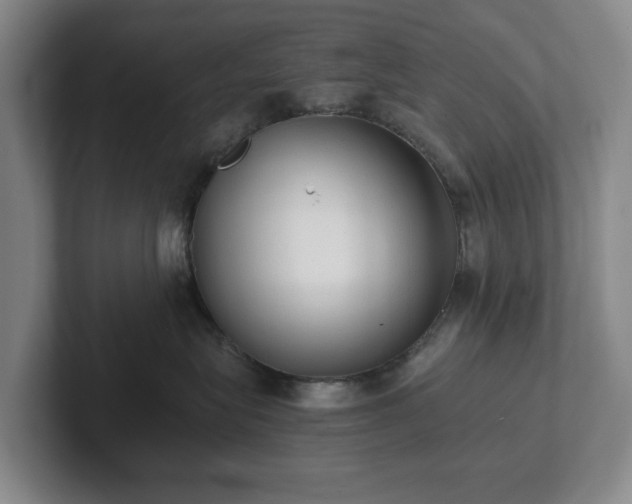 X0000101950575200807251137