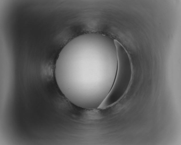 X0000101950576200807251137