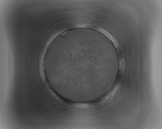 X0000101950577200807251136