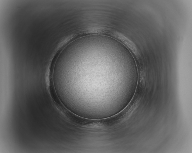 X0000101950578200807251136