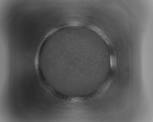 X0000101950579200807251136