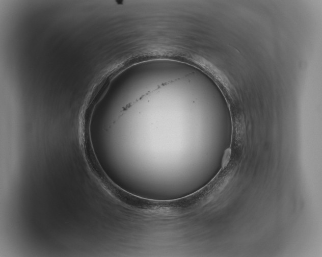 X0000101950581200807251136