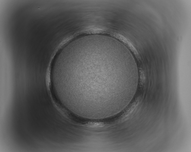 X0000101950582200807251136