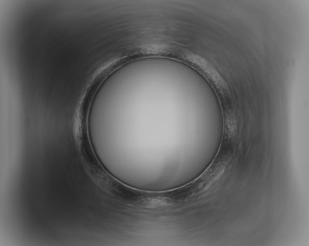 X0000101950583200807251136