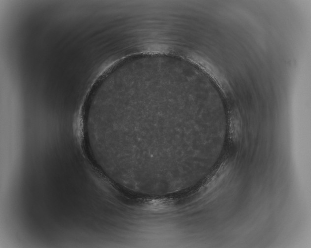 X0000101950584200807251136