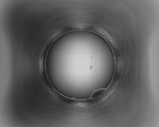 X0000101950585200807251136