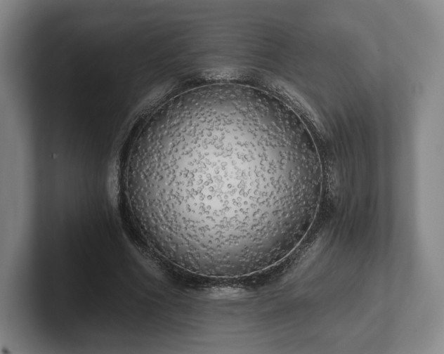 X0000101950586200807251136