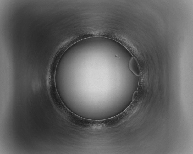 X0000101950587200807251136