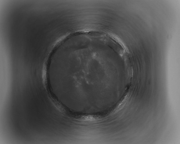 X0000101950588200807251136