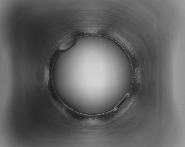 X0000101950589200807251136