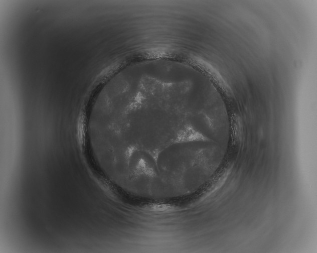 X0000101950590200807251136