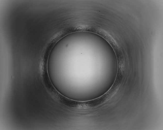 X0000101950591200807251136