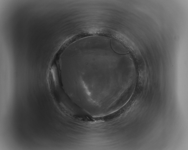 X0000101950592200807251136