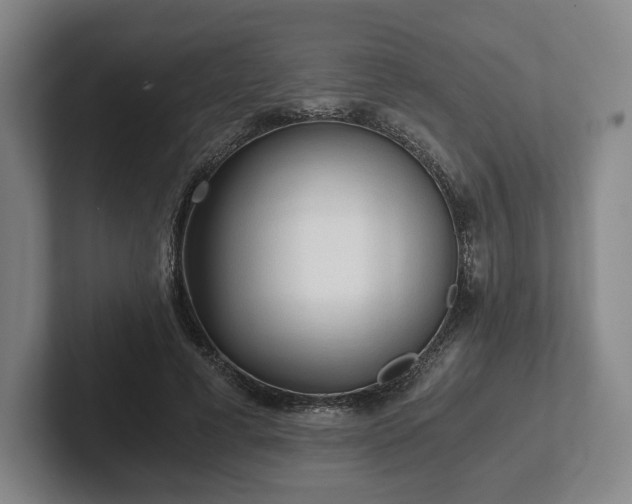 X0000101950593200807251136