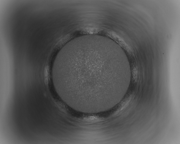 X0000101950594200807251136