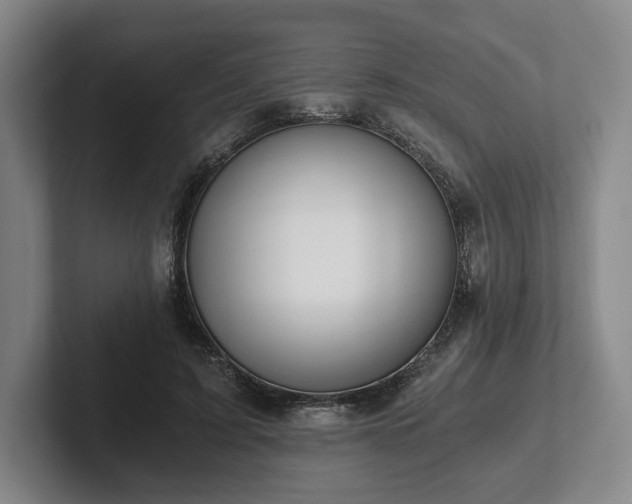 X0000101950595200807251136