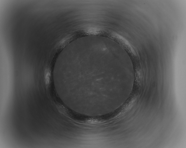 X0000101950596200807251136