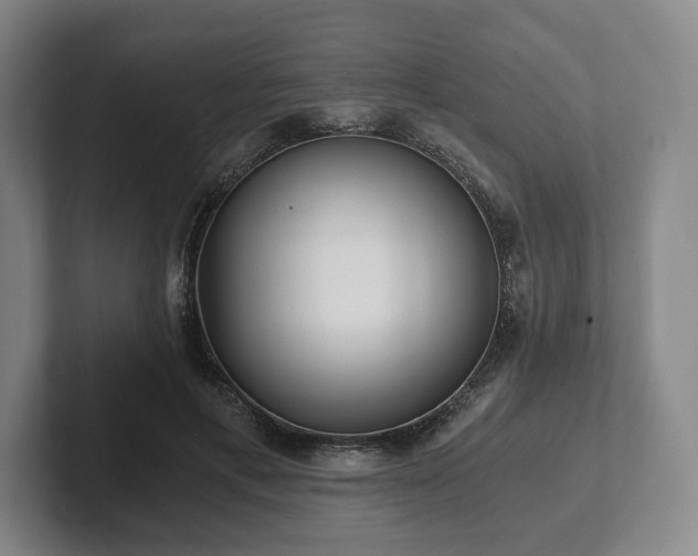 X0000101950597200807251136