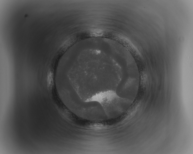 X0000101950598200807251136