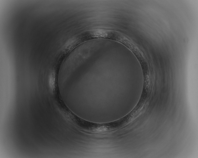 X0000101950600200807251136