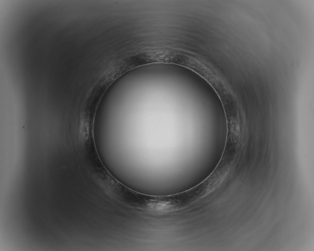 X0000101950602200807251136