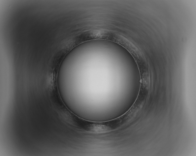 X0000101950605200807251136