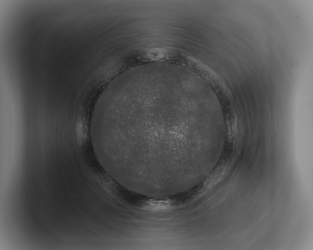 X0000101950606200807251136