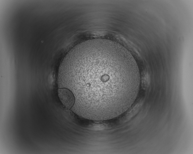 X0000101950608200807251136