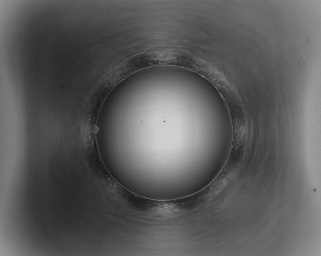 X0000101950609200807251136