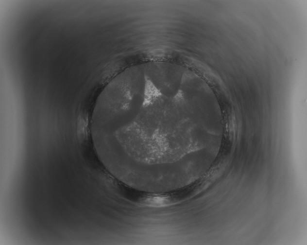 X0000101950610200807251136