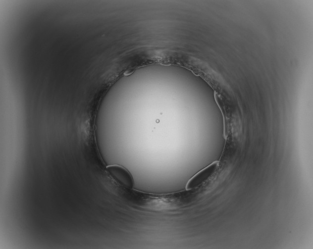 X0000101950611200807251136