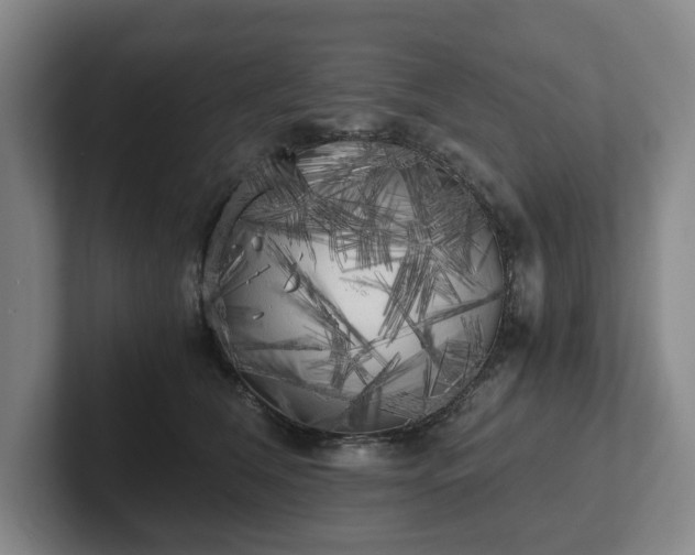 X0000101950612200807251136