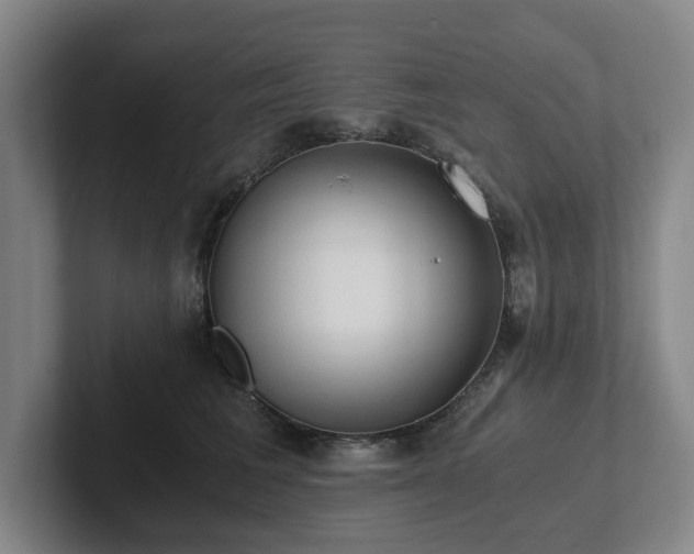 X0000101950613200807251136