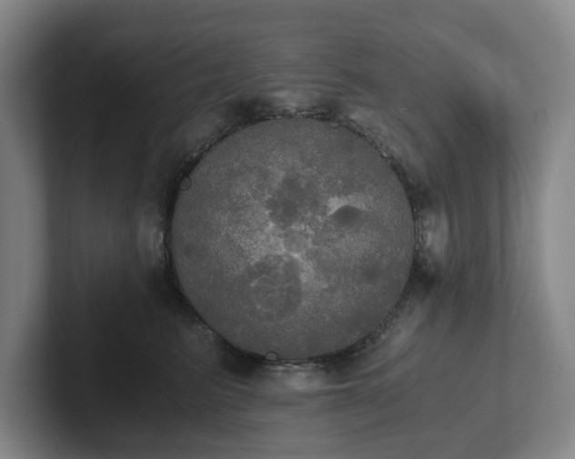 X0000101950615200807251136