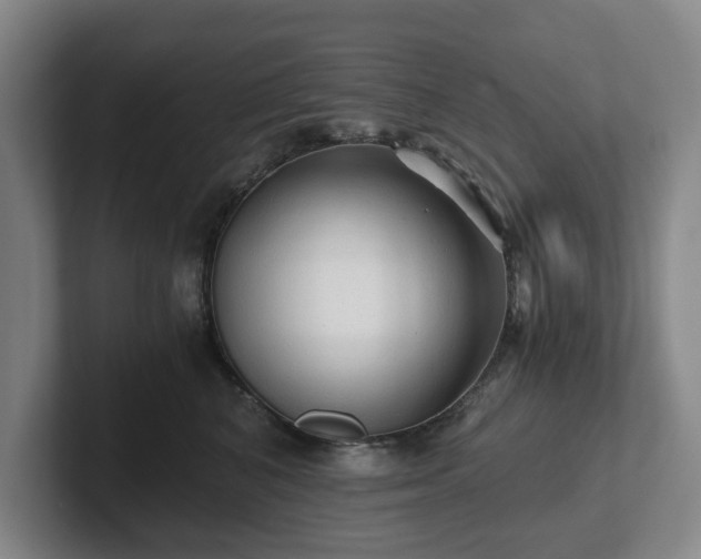 X0000101950616200807251136