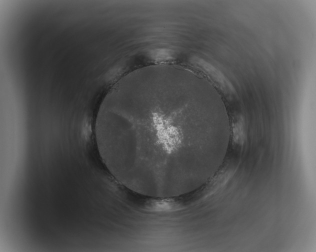 X0000101950618200807251136