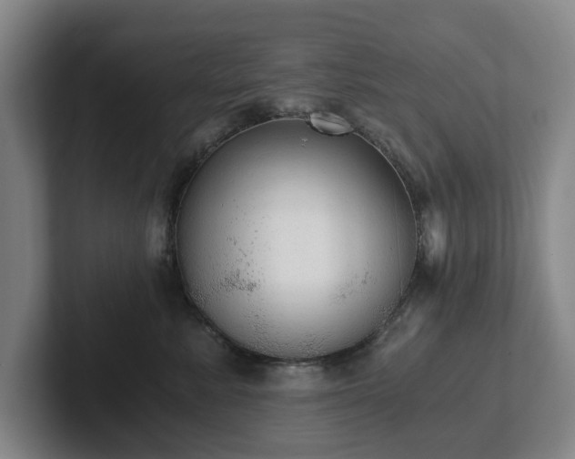 X0000101950619200807251136